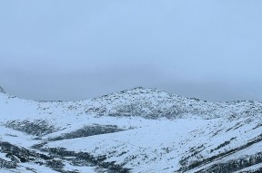  莎拉波娃的丈夫是谁 爱游戏中国